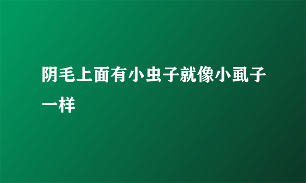 阴毛上面有小虫子就像小虱子一样