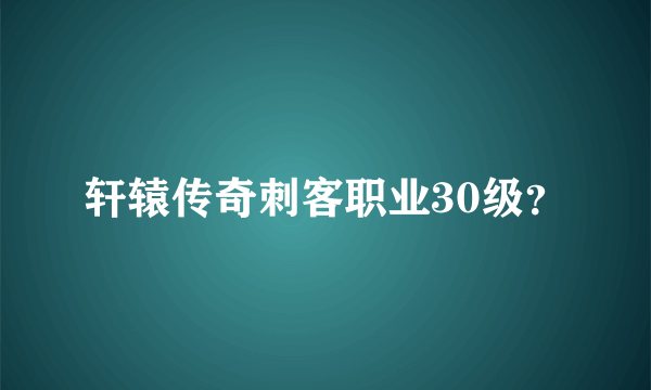 轩辕传奇刺客职业30级？
