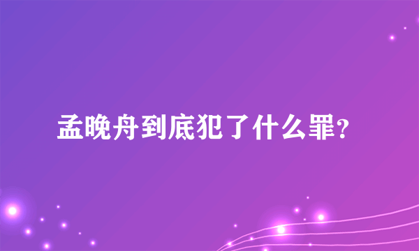 孟晚舟到底犯了什么罪？