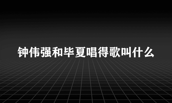 钟伟强和毕夏唱得歌叫什么