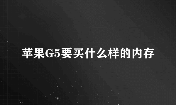 苹果G5要买什么样的内存