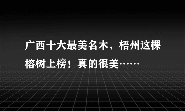 广西十大最美名木，梧州这棵榕树上榜！真的很美……