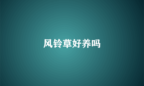 风铃草好养吗