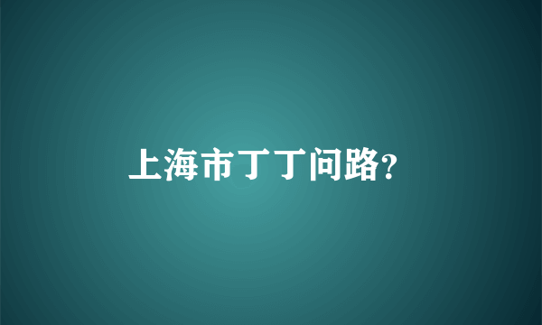 上海市丁丁问路？