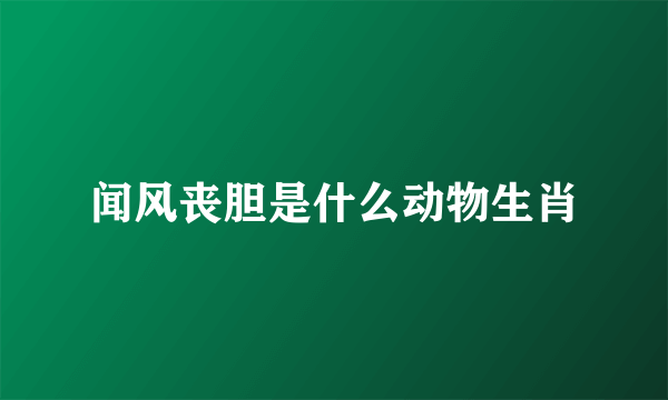闻风丧胆是什么动物生肖