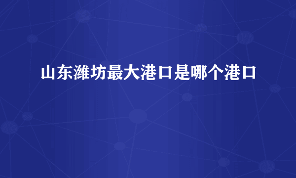 山东潍坊最大港口是哪个港口