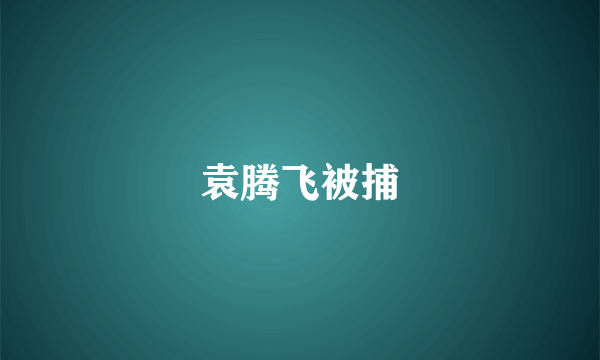 袁腾飞被捕