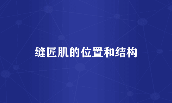 缝匠肌的位置和结构