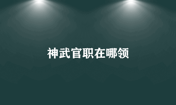 神武官职在哪领