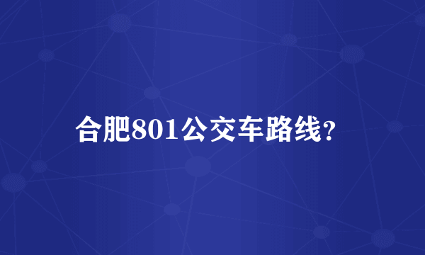 合肥801公交车路线？