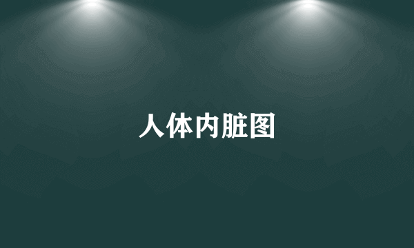 人体内脏图