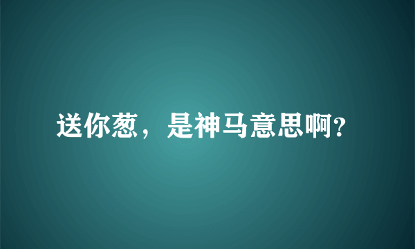 送你葱，是神马意思啊？