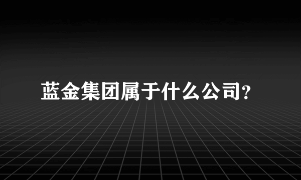 蓝金集团属于什么公司？