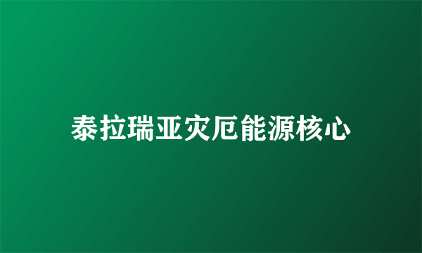 泰拉瑞亚灾厄能源核心