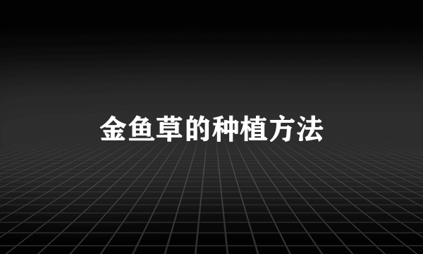 金鱼草的种植方法
