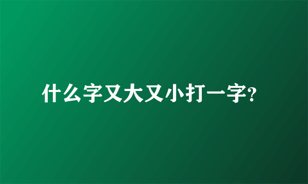 什么字又大又小打一字？