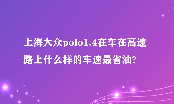 上海大众polo1.4在车在高速路上什么样的车速最省油?