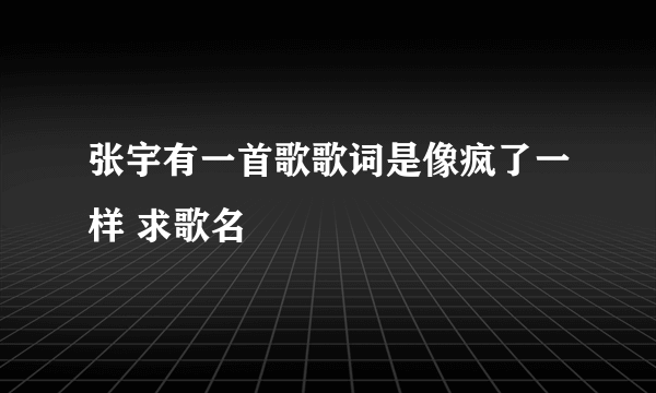 张宇有一首歌歌词是像疯了一样 求歌名