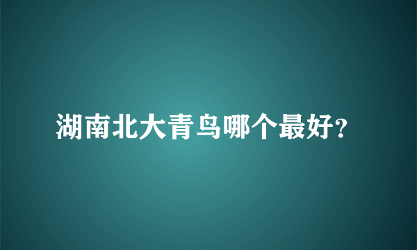 湖南北大青鸟哪个最好？