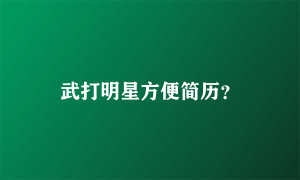 武打明星方便简历？