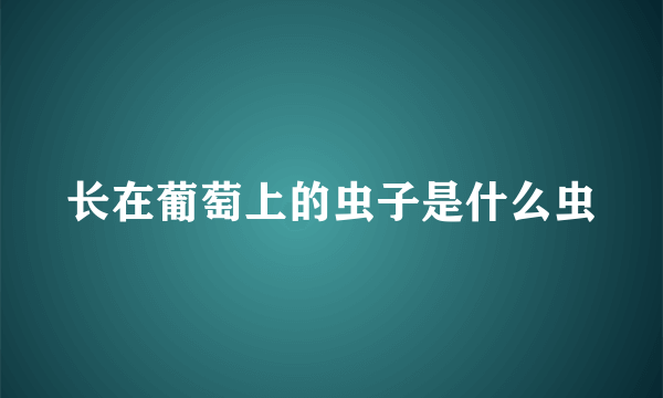 长在葡萄上的虫子是什么虫