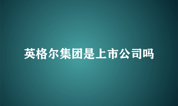 英格尔集团是上市公司吗