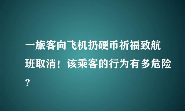 一旅客向飞机扔硬币祈福致航班取消！该乘客的行为有多危险？