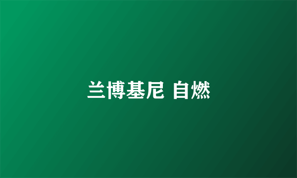 兰博基尼 自燃
