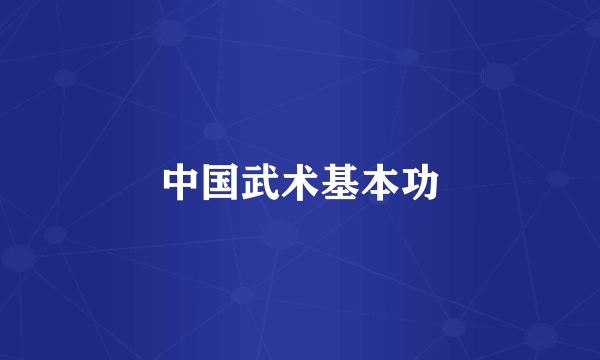 中国武术基本功