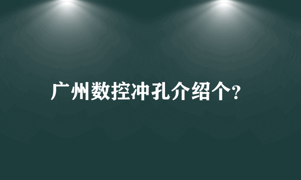 广州数控冲孔介绍个？