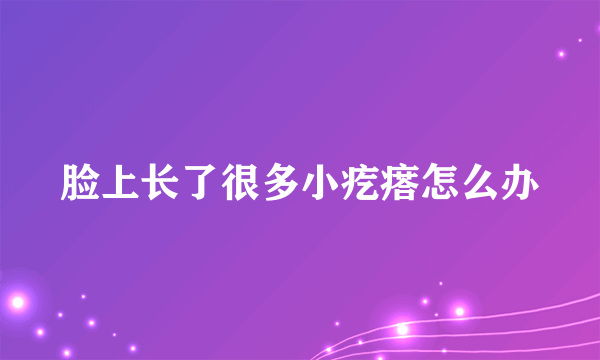 脸上长了很多小疙瘩怎么办