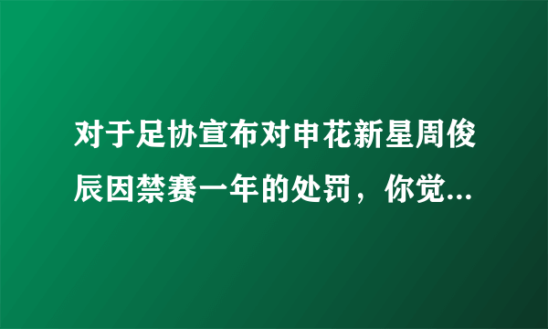 对于足协宣布对申花新星周俊辰因禁赛一年的处罚，你觉得足协的处罚是否过重？