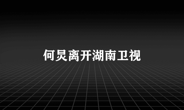 何炅离开湖南卫视