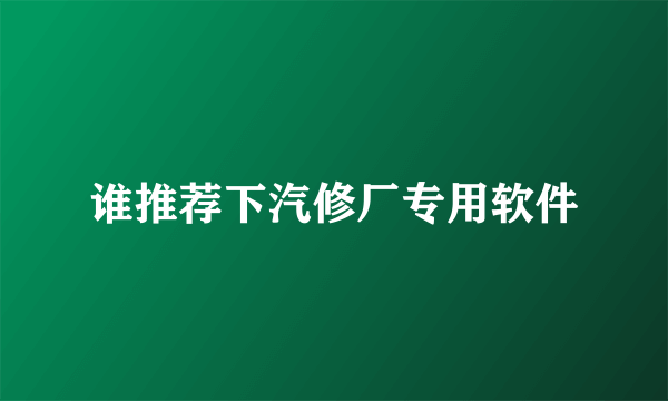 谁推荐下汽修厂专用软件