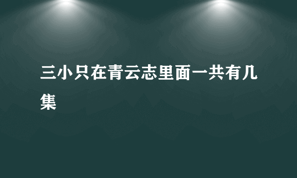 三小只在青云志里面一共有几集