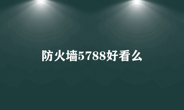 防火墙5788好看么