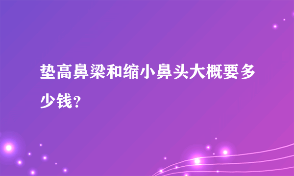 垫高鼻梁和缩小鼻头大概要多少钱？