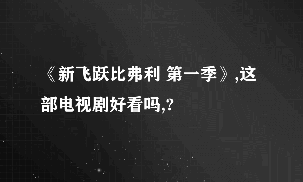 《新飞跃比弗利 第一季》,这部电视剧好看吗,?