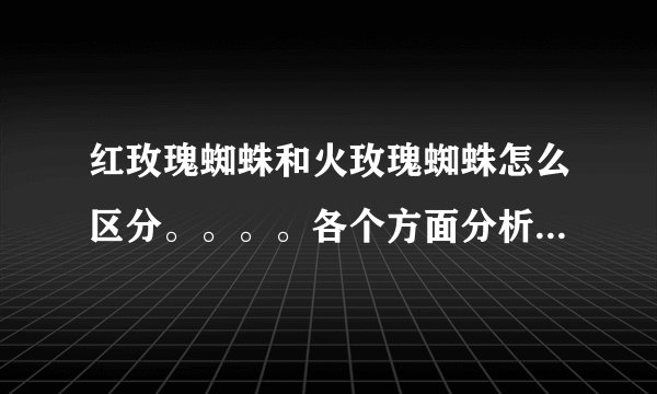 红玫瑰蜘蛛和火玫瑰蜘蛛怎么区分。。。。各个方面分析。。。。