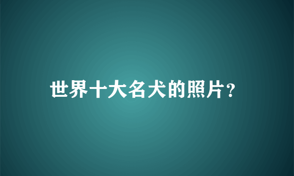 世界十大名犬的照片？