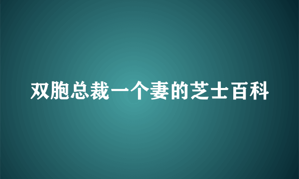 双胞总裁一个妻的芝士百科