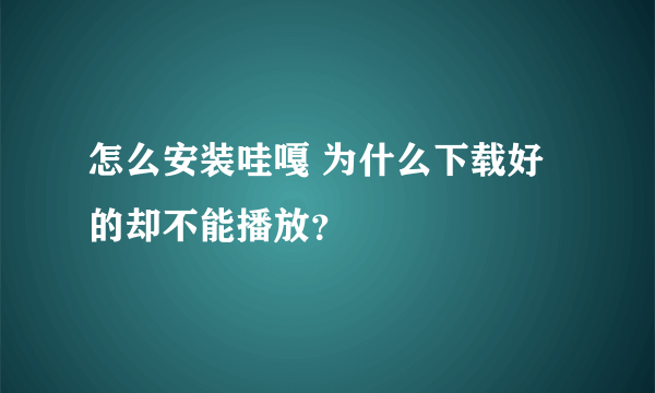 怎么安装哇嘎 为什么下载好的却不能播放？