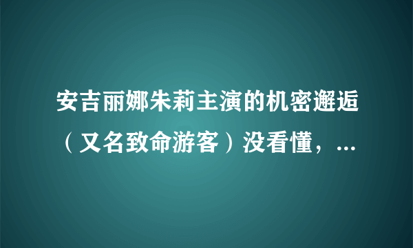 安吉丽娜朱莉主演的机密邂逅（又名致命游客）没看懂，哪里有很详细的剧情介绍？