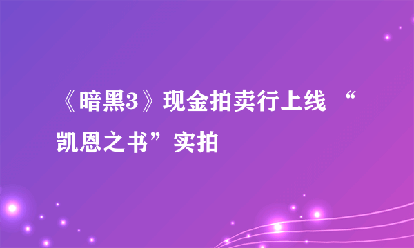 《暗黑3》现金拍卖行上线 “凯恩之书”实拍