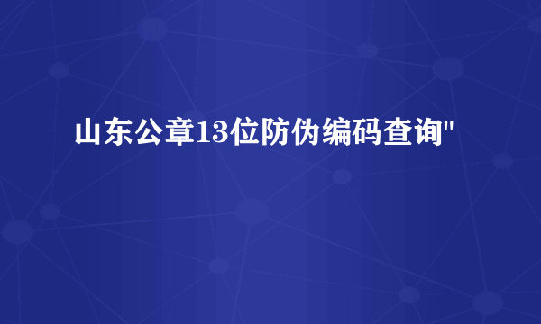 山东公章13位防伪编码查询