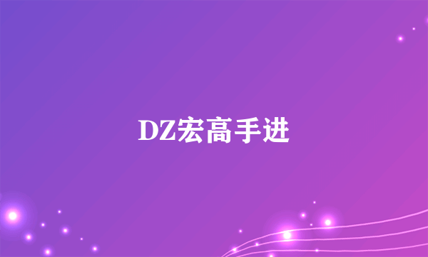 DZ宏高手进