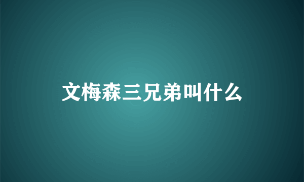 文梅森三兄弟叫什么
