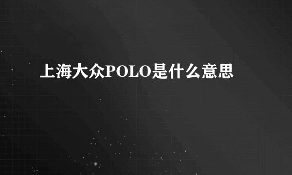 上海大众POLO是什么意思