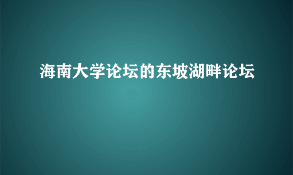 海南大学论坛的东坡湖畔论坛