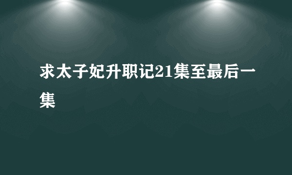 求太子妃升职记21集至最后一集